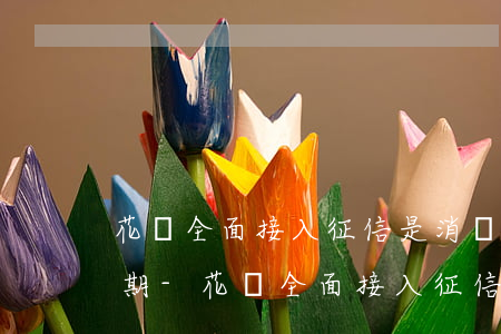 花唄全面接入征信是消費(fèi)還是逾期-花唄全面接入征信是消費(fèi)還是逾期了