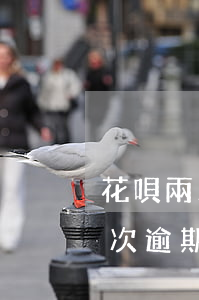 花唄兩次逾期還款后仍然無法使用-花唄兩次逾期還款后仍然無法使用怎么辦