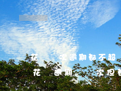 花唄兩次逾期都不超過一個(gè)星期-花唄逾期過兩次,但都沒超過三十天