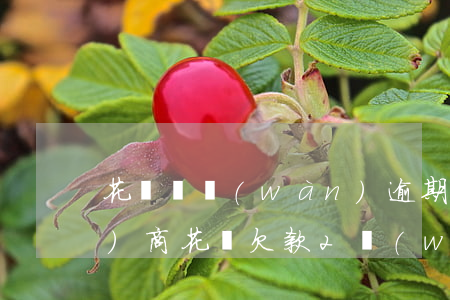 花唄兩萬(wàn)逾期半年不協(xié)商(花唄欠款2萬(wàn)多逾期半年會(huì)法院起訴嗎)