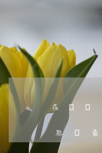 花唄兩萬分期逾期三年(花唄分期逾期兩天還能還最低額度嗎?)