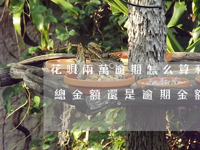 花唄兩萬逾期怎么算利息(花唄逾期利息是按總金額還是逾期金額)