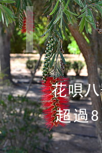 花唄八號當(dāng)天還算逾期嗎(花唄超過8號還了會怎么辦)