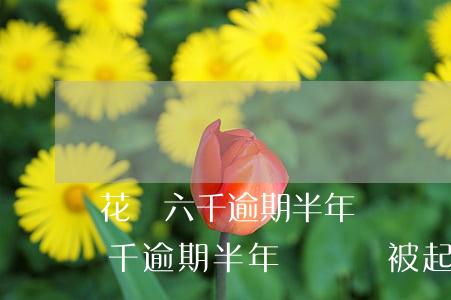 花唄六千逾期半年沒還會被起訴嗎-花唄六千逾期半年沒還會被起訴嗎知乎