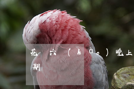花唄六號(hào)晚上還會(huì)逾期嗎
