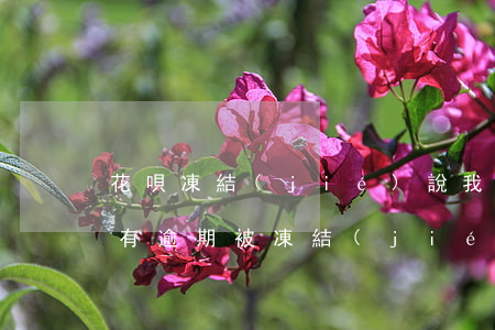 花唄凍結(jié)說我微貸逾期(我花唄沒有逾期,被凍結(jié)了是什么情況)