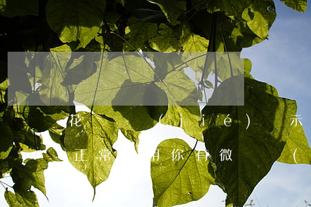 花唄凍結(jié)顯示微貸逾期(花唄無法正常使用,你有微貸產(chǎn)品逾期記錄)