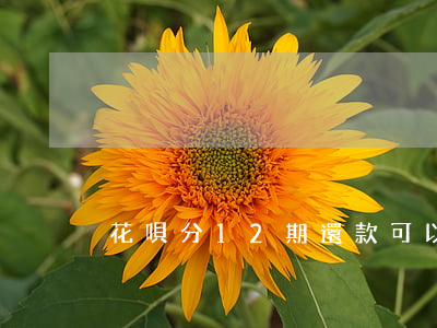 花唄分12期還款可以提前還嗎-