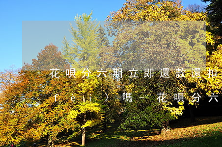 花唄分六期立即還款還扣手續(xù)費(fèi)嗎-花唄分六期立即還款還扣手續(xù)費(fèi)嗎是真的嗎