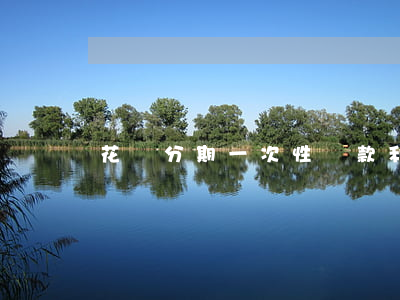 花唄分期一次性還款利息還完嗎-