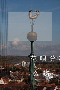 花唄分期了逾期是怎么算(花唄分期限額了怎么辦)
