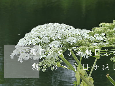 花唄分期了逾期會怎么樣(支付寶螞蟻花唄逾期了可以申請分期嗎)