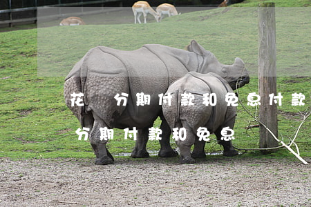 花唄分期付款和免息付款區(qū)別（花唄分期付款和免息）