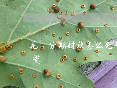 花唄分期付款怎么免息（螞蟻花唄分期免息設置）