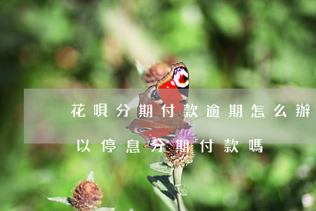 花唄分期付款逾期怎么辦(支付寶花唄逾期可以停息分期付款嗎)