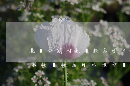 花唄分期付款還款后可以提前還-花唄分期付款還款后可以提前還嗎