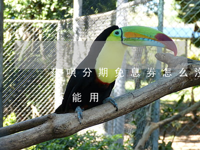 花唄分期免息券怎么沒有了（花唄免息分期券不能用）