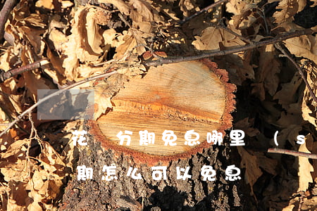花唄分期免息哪里設(shè)置-花唄分期怎么可以免息