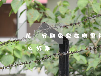 花唄分期免息在哪里(花唄分期免息付款是怎么分期)