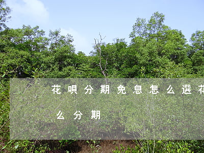 花唄分期免息怎么選(花唄分期免息付款是怎么分期)