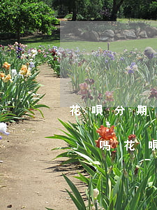 花唄分期免息還要手續(xù)費(fèi)嗎（花唄分期免息如何還）