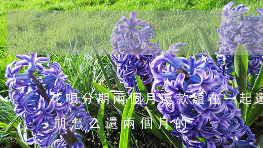 花唄分期兩個月還款額在一起還嗎-花唄分期怎么還兩個月的