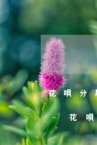 花唄分期利息和信用卡分期哪個(gè)高-花唄分期利息和信用卡分期哪個(gè)高些