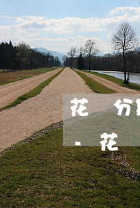 花唄分期利息和信用卡利息哪個(gè)高-花唄分期利息和信用卡利息哪個(gè)高些