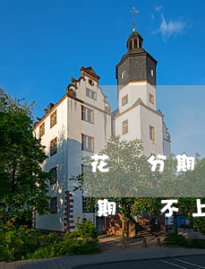 花唄分期后到期還不上怎么辦-花唄分期到期還不上有什么后果
