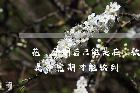 花唄分期后只能是在還款日還嗎-花唄分期是分完期才能收到貨嗎