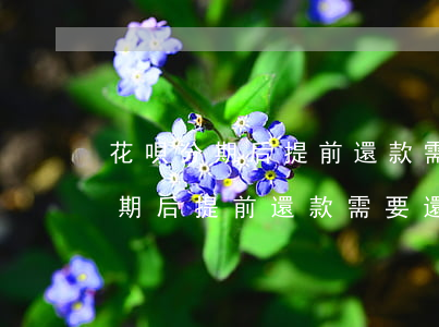 花唄分期后提前還款需要還利息嗎-花唄分期后提前還款需要還利息嗎