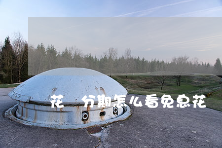 花唄分期怎么看免息(花唄分期怎么看免息期)
