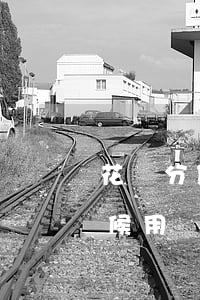 花唄分期提供免息券(花唄分期免息券什么時候用)