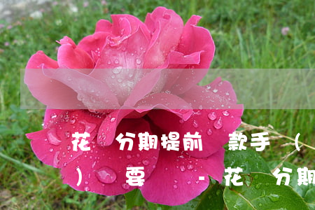 花唄分期提前還款手續(xù)費(fèi)還要還嗎-花唄分期提前還款手續(xù)費(fèi)還要還嗎