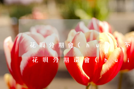 花唄分期會(huì)不會(huì)逾期(花唄分期還會(huì)影響征信嗎)