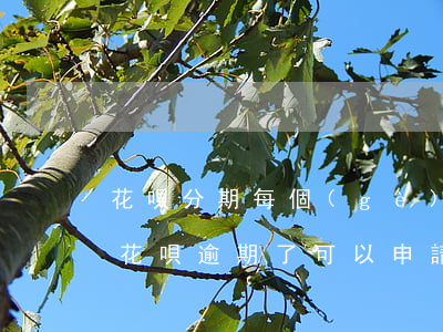 花唄分期每個(gè)月都逾期(支付寶螞蟻花唄逾期了可以申請(qǐng)分期嗎)