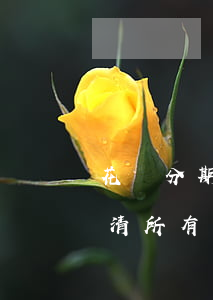 花唄分期沒有還算逾期嗎(花唄逾期必須要還清所有欠款后才可以分期嗎)