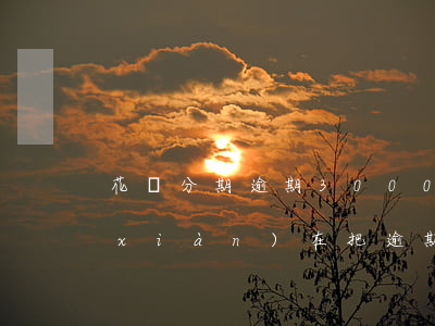 花唄分期逾期3000(花唄分期逾期了,現(xiàn)在把逾期的還完了后面要全部還清嗎)
