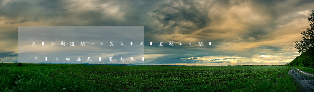 花唄分期逾期一天怎么辦(花唄逾期后分期還下個月的每天會有利息嗎)