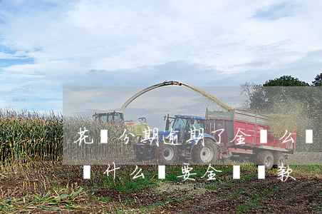 花唄分期逾期了全還么(螞蟻花唄分期逾期了為什么還要全額還款)