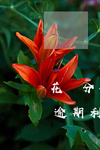 花唄分期逾期后怎樣計(jì)息(分期付款逾期利息怎么計(jì)算)