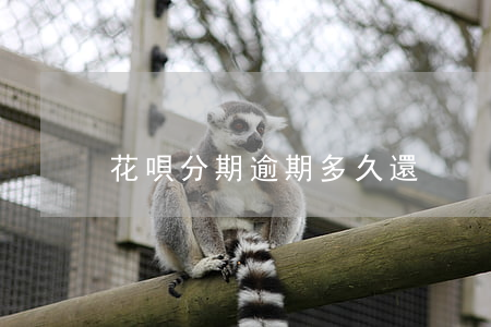 花唄分期逾期多久還