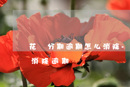 花唄分期逾期怎么消除-花唄分期逾期怎么消除逾期記錄