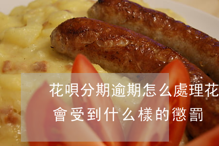花唄分期逾期怎么處理(花唄分期逾期不還款會受到什么樣的懲罰)