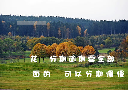 花唄分期逾期要全部還嗎(花唄逾期后還了后面的還可以分期慢慢還嗎)