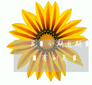花唄分期逾期還款利息(花唄分期付款退款了還有利息嗎)