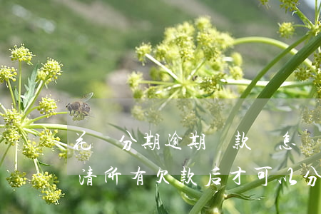 花唄分期逾期還款會怎樣(花唄逾期必須要還清所有欠款后才可以分期嗎)