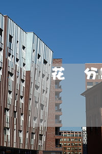 花唄分期還免息(花唄分期還免息)