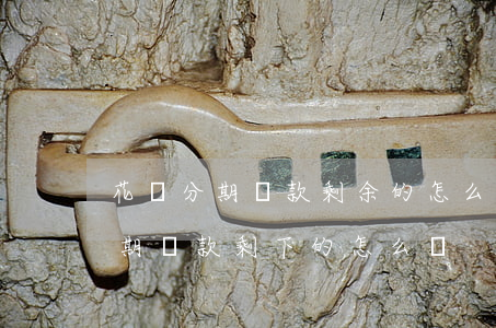 花唄分期還款剩余的怎么一次還完-花唄分期還款剩下的怎么辦