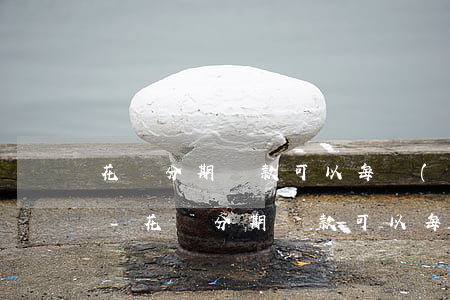 花唄分期還款可以每個(gè)月提前還嗎-花唄分期還款可以每個(gè)月提前還嗎